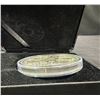 Image 4 : 2022 $50 .9999 Fine Silver Coin Queen Elizabeth II's Reign 157.6g