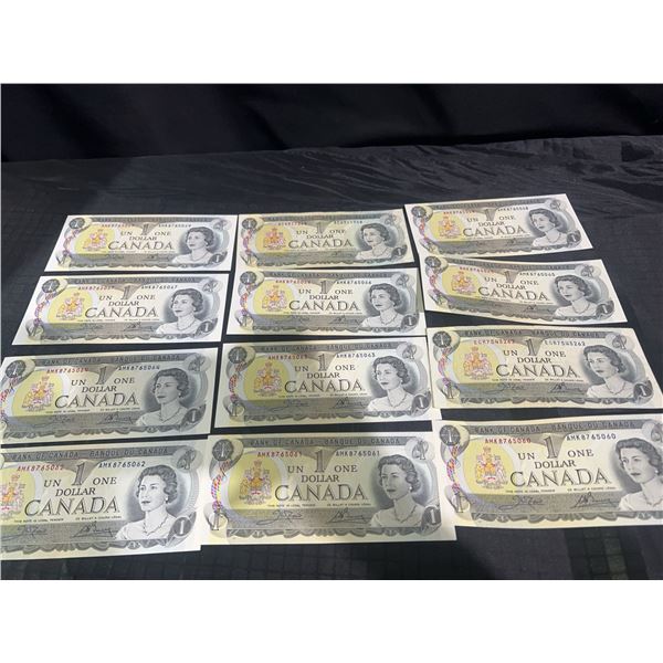 13 Canada $1 Banknotes 1973 Queen Elizabeth II Consecutive Serial Numbers