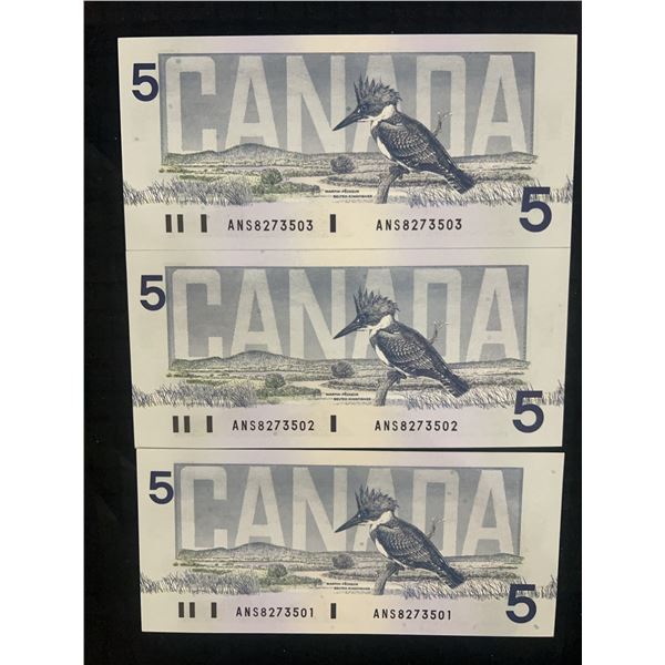 Consecutive 1991 Canada $5 Notes Lot of 3 - ANS8273501-503