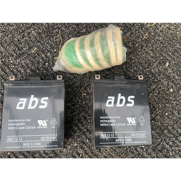 ABS 12-13 Rechargeable Batteries and Packaged Green Discs