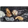 Image 10 : Ornaments S1 A