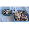 Image 1 : Shell Art & Shells S1 A