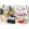 Image 4 : Vintage Shell Bracelets S2 A