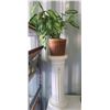 Image 1 : Plant Stand S3 B
