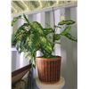 Image 3 : Plant Stand S3 B