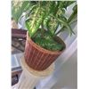 Image 4 : Plant Stand S3 B