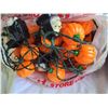 Image 8 : Halloween S2 A