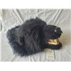 Image 1 : Faux Bear Head S2 A