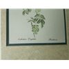 Image 11 : Framed Prints  S3 B