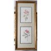 Image 9 : Framed Prints  S3 B