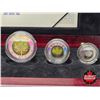 Image 3 : RCM Canada 2003 Silver Maple Leaf Hologram Five-Coin Fine Silver Set :  One Ounce ; 1/2 Ounce 1/4 Ou