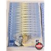 Image 5 : Canada $5 Bills 2002 (31 Consecutive) : Jenkins/Dodge #HNY0252000 - 2030 (Consignor Note: UNC)