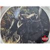 Image 2 : Canada 2014 $5 Fine Silver Coin : Colorized Overlay : Moose in Tall Grass (1oz .9999)