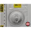 Image 2 : USA 2000 Liberty Silver Dollar : 1oz Fine Silver (3rd Party Hand Painted Walking Liberty Design)