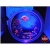 Image 4 : RCM Canada 2016 $30 Fine Silver Coin : Illuminated Underwater Reef (Color) (COA #3562) (99.99% : 62.