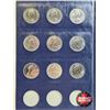 Image 5 : Canada Dollar / Loonie Collection in Blue Leuchtturn Lighthouse Collector Portfolio (73 Coins) (1968
