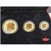 Image 4 : RCM Canada 2014 Fine Silver Fractional Set : The Maple Leaf One Ounce ; 1/2 Ounce 1/4 Ounce; 1/10 Ou