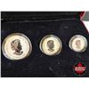 Image 7 : RCM Canada 2014 Fine Silver Fractional Set : The Maple Leaf One Ounce ; 1/2 Ounce 1/4 Ounce; 1/10 Ou