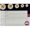Image 9 : RCM Canada 2014 Fine Silver Fractional Set : The Maple Leaf One Ounce ; 1/2 Ounce 1/4 Ounce; 1/10 Ou