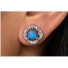Image 1 : Silver(4.4g), Labradorite (1.4ct) Earring Retail value $300