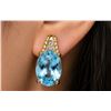 Image 1 : Silver(3.54g),  Blue Topaz (3ct) Earring Retail value $240