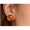 Image 1 : Silver Amber Earring Retail value $50
