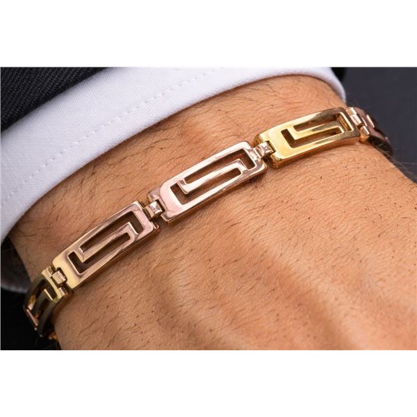 Silver(3.2g), Tri-Color Bracelet 7" Retail value $150