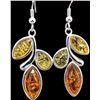 Image 1 : silver(3.68g), Amber Earring Retail value $240