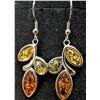 Image 4 : silver(3.68g), Amber Earring Retail value $240