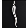 Image 1 : Silver(3.5g), Pendant Retail value $100