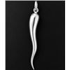 Image 2 : Silver(3.5g), Pendant Retail value $100