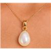 Image 1 : 14k Peg & GP Bail F.W. Pearl Pendant Retail value $200
