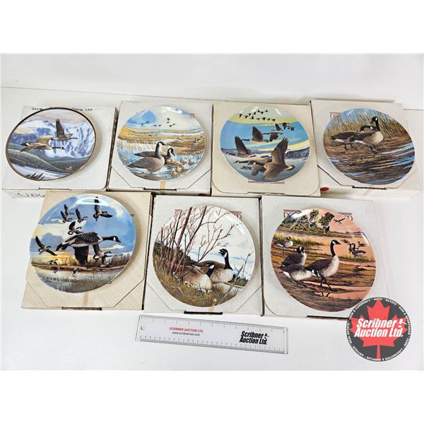 Collector Plates (7) : Dominion China Ltd Duck & Geese Themed