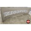 Image 6 : Large LINCOLN Dealership Curved Aluminum Sign (Measures : 36"H x 129"L x 12"D)