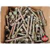 Image 4 : Large Variety of Nuts & Bolts : Metric 8.8 & 10.9 Grade (Total Weight : 50lbs)