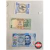 Image 4 : Foreign Notes - Variety (16) : Incl. Thailand; South Korea; Mexico; Belarus; etc