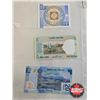 Image 5 : Foreign Notes - Variety (16) : Incl. Thailand; South Korea; Mexico; Belarus; etc