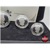 Image 6 : RCM Canada 2004 Fine Silver 4-Coin Set : The Arctic Fox One Ounce ; 1/2 Ounce 1/4 Ounce; 1/10 Ounce 