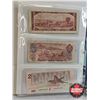 Image 11 : Binder Lot - Junior Collector Starter Kit (Canada Bills & Coins & USA Coins) : (BINDER LOT) - Sheet 