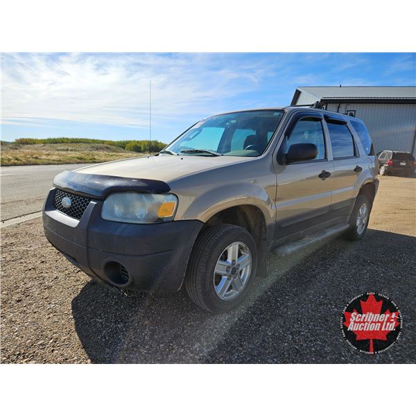 SUV : 2007 Ford Escape