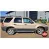 Image 5 : SUV : 2007 Ford Escape