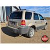 Image 6 : SUV : 2007 Ford Escape