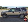 Image 9 : SUV : 2007 Ford Escape