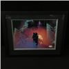 Image 1 : POST MALONE SIGNED AND CUSTOM FRAMED 8 X 10 (PSA COA)