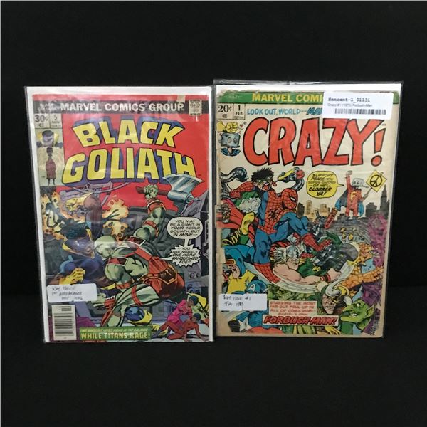 LOT OF 2 MIXED TITLE COMICS - MARVEL COMICS