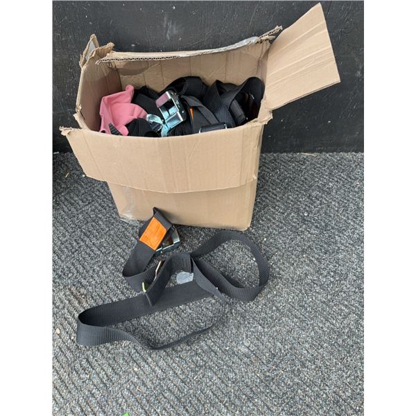 Tie Down Straps with Hooks and Buckles