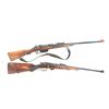 Image 1 : LOT OF 2 DEACTIVATED RIFLES — STEYR M95M & TOZ-17 — COLLECTOR DISPLAY / DECOR