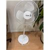 Image 2 : Pedestal Fan, Potted Tree, Chairs, Lobby Sofa, End Tables