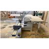 Image 3 : MJ6123/MJ-45 INDUSTRIAL GRADE SLIDING TABLE PANEL SAW WITH CUSTOM BUILT WOOD TABLE EXTENSION
