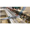 Image 4 : MJ6123/MJ-45 INDUSTRIAL GRADE SLIDING TABLE PANEL SAW WITH CUSTOM BUILT WOOD TABLE EXTENSION